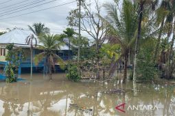 Ratusan rumah di Kota Bengkulu terendam banjir akibat hujan deras