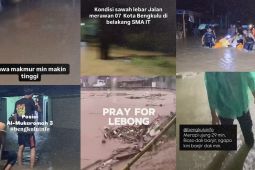 Diguyur hujan berjam-jam, warga laporkan sejumlah wilayah di Bengkulu terendam banjir