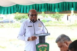 Pemprov Papua Selatan nilai Jembatan Garuda buka akses layanan bagi masyarakat