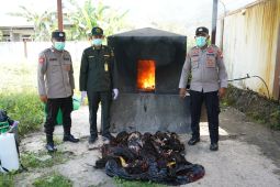 Balai Karantina Malut musnahkan 20 unggas ilegal dari Sulawesi