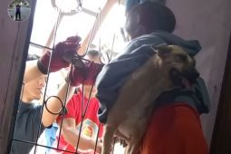 Damkar Rejang Lebong Bengkulu lakukan 39 operasi darurat nonkebakaran