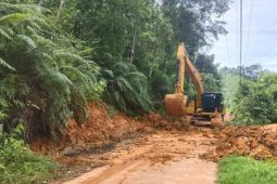 Gerak cepat Pemkab di Sembilan Koto: akses sudah dapat dilalui,listrik nyala kembali