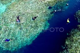 Indonesia perkuat kolaborasi global dalam perlindungan keanekaragaman hayati di laut lepas
