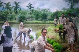 Pemkab Pasaman Barat salurkan dana desa Rp13,5 miliar ke 90 nagari