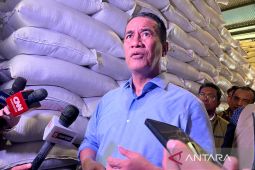 Pemerintah tetapkan HPP gabah petani tetap Rp6.500 per kg