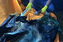 Polres Lahat ungkap motif anak mutilasi ibu kandung demi uang judi daring