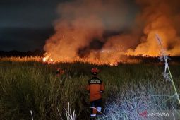 BNPB: Kebakaran hanguskan 10 hektare gambut di Ogan Ilir Sumsel