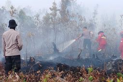 Manggala Agni padamkan karhutla 4 hektare di Singkawang Selatan