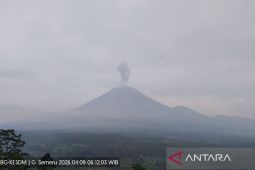 Gunung Semeru empat kali erupsi pada Kamis