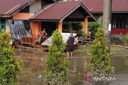 Pemkot Bengkulu catat 11.601 warga terdampak bencana banjir