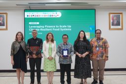 Kebijakan migrasi AS memicu lonjakan permohonan jadi warga Irlandia