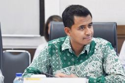 Tenaga Ahli Menteri ESDM tekankan pentingnya transisi energi hijau
