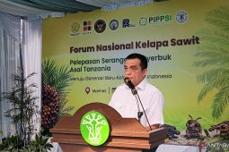 PTPN IV PalmCo siap jadi lokasi implementasi awal inovasi serangga penyerbuk asal Tanzania
