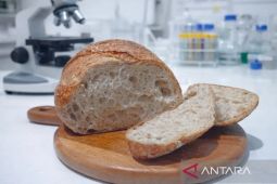 BRIN researcher develops sourdough from local red rice