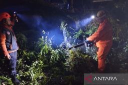 Jalur Bandung-Cianjur Lumpuh! Pohon Tumbang Tutup Jalan di Haurwangi
