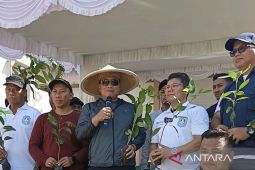 ANTARA Menanam di Kubu Raya wujudkan kelestarian lingkungan