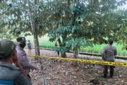 Polres Tabalong olah TKP penemuan mayat diduga gantung diri