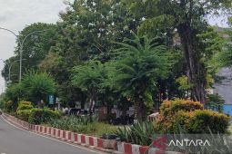 Pemkot Bengkulu pangkas pohon untuk antisipasi dampak cuaca buruk