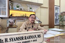 Kalsel mampu produksi 1,3 juta ton padi meski kemarau panjang 2026