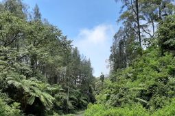 Dosen Unej teliti tanaman zaman prasejarah di Geopark Ijen