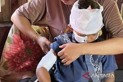 32 warga Cianjur kena gigit hewan liar, kasus terakhir akibat serangan monyet liar