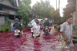 Tanggul Sungai Godo yang jebol perparah dampak banjir di Pati