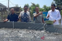 Suplai lele ke dapur MBG, komoditas lokal lainnya harus menyusul