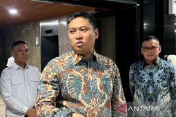 Wamentan pastikan stok pupuk aman di tengah geopolitik global