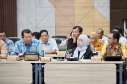 Kalsel kemarin dari inovasi daerah hingga agroforestry jagung