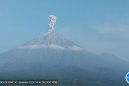 Semeru erupsi lima kali dengan tinggi letusan hingga 1.200 meter