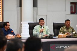 Gubernur Bobby minta lakukan kajian mendalam pencabutan izin usaha hutan