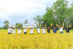 Ponpes Miftahul Ulum Tabalong perkuat kemandirian pangan