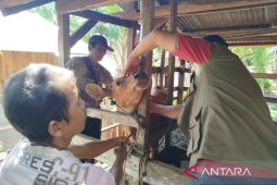 Pemkab Bengkulu Tengah gencarkan vaksinasi sebelum Idul Adha