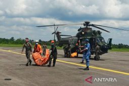 Kemenhub: Pilot, engineer, 6 penumpang heli jatuh di Sekadau meninggal