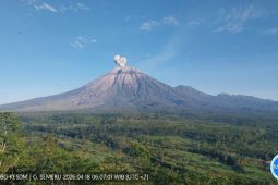 Gunung Semeru erupsi dengan abu vulkanik ke arah barat daya