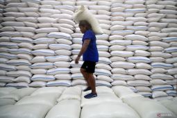 Menguji efektivitas cadangan beras pemerintah