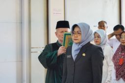 Kementan bantu Rp5,6 miliar untuk sarana-prasarana pertanian Dharmasraya