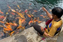 OJK Cirebon: Program Desa EKI di kawasan Situ Cipanten telah masuk tahap inkubasi