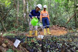 PT ATR selama 2021--2025 hasilkan 187.615 bibit tanaman lokal dan cepat tumbuh untuk rehabilitasi lahan