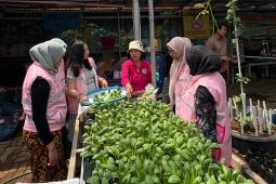 Hari Kartini, PLN perkuat peran perempuan lewat srikandi movement