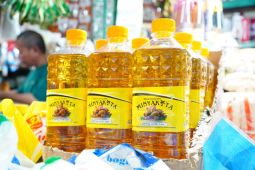Bapanas usul DMO Minyakita naik jadi 60 persen demi stabilitas harga