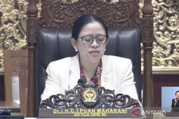 Rapat paripurna DPR setujui RUU PSDK disahkan jadi undang-undang