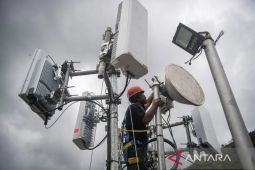 Maluku perluas akses internet sekolah-puskesmas di wilayah 3T