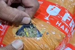 Polisi sita 3,6 kg ganja saat tangkap seorang pengedar di depan Stasiun Tanah Abang