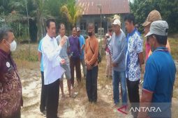 Pengangguran turun, Pemkab Sukamara siapkan program 'Pakar Ciptakarya' 2026