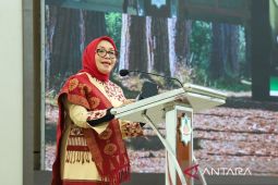 KemenPPPA kawal implementasi UU PPRT lindungi dan penuhi hak PRT
