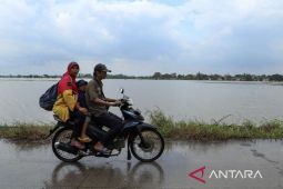 BMKG prakirakan hujan dominasi cuaca di berbagai kota besar pada Kamis