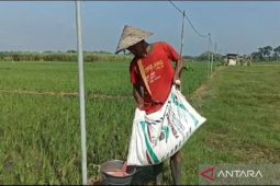 Pemkab Ngawi pastikan stok pupuk subsidi aman hingga akhir tahun 2026