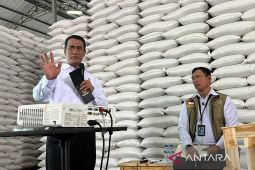 Mentan tegaskan tak ada kenaikan harga beras meski isu biaya kemasan
