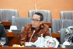Anggota DPR minta masyarakat menengah atas dukung ketahanan energi